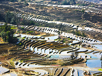 Yuanyang Rice Terraces