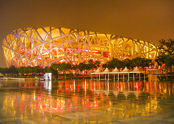 Bird''s Nest at Night