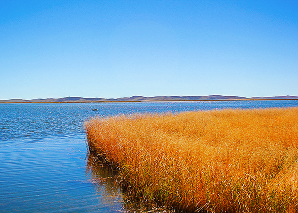 Huahu Lake