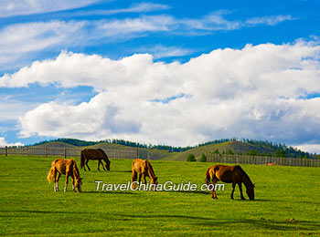 Xilingol Grassland