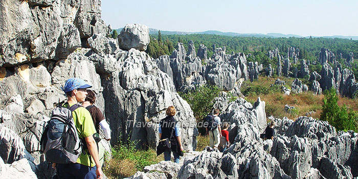 Stone Forest, Kunming