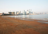 Qingdao Sixth Bathing Beach