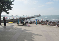 Zhan Bridge, Qingdao