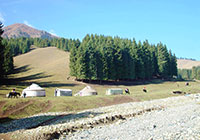 Southern Pasture, Urumqi