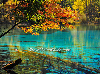 Five Flower Lake, Jiuzhaigou