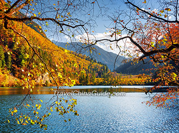 Five Flower Lake, Jiuzhaigou