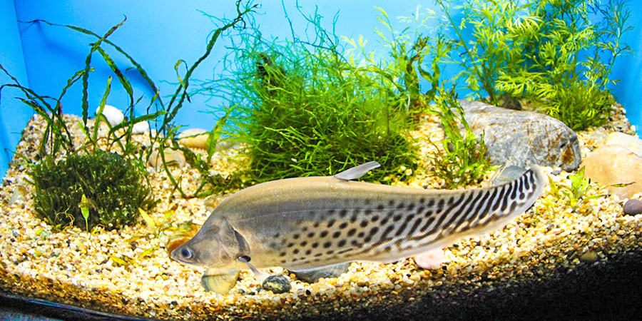 Beijing Aquarium