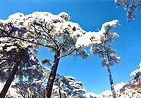 Huangshan