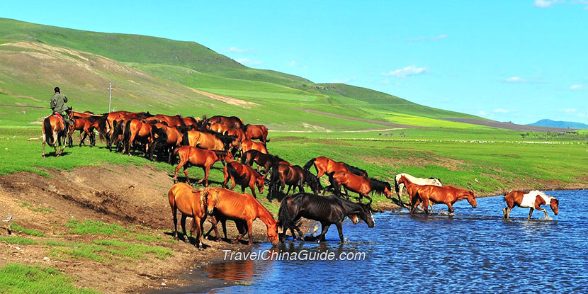 Altai Tavan Bogd National Park