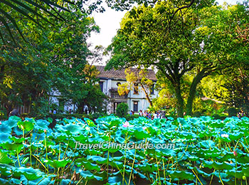 Summer in Zhejiang