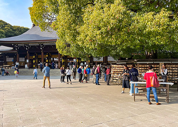 Meiji Jingu Shrine, Tokyo Autumn