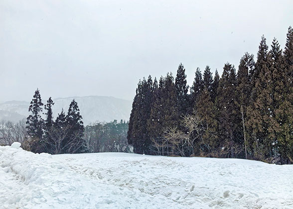 Snowscapes, Tokyo Winter