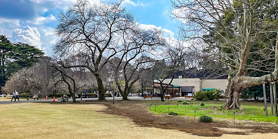 Shinjuku Gyoen National Garden