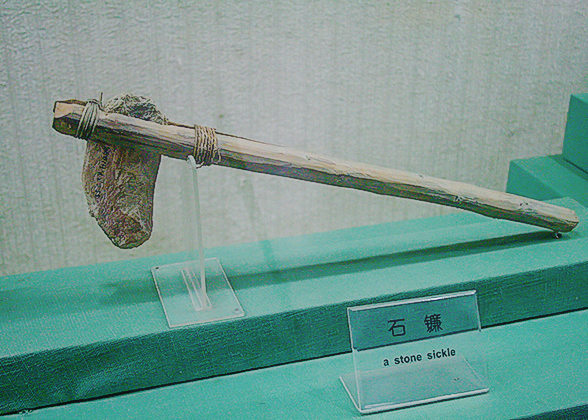 Stone Sickle in Banpo Museum