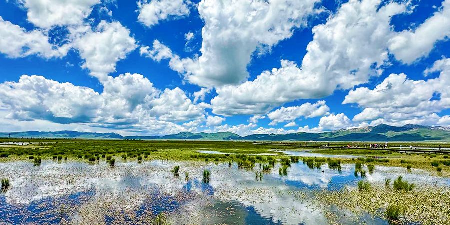 Flower Lake