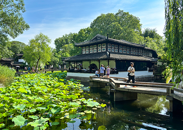 Lotus Pond in Humble Administrator's Garden