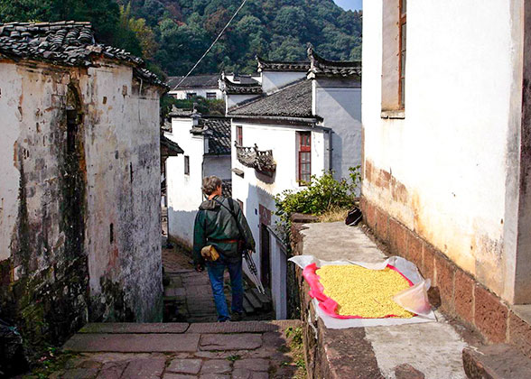 Anhui Style Traditional Village