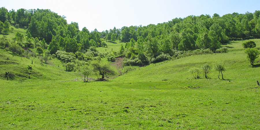 Baihua Mountain