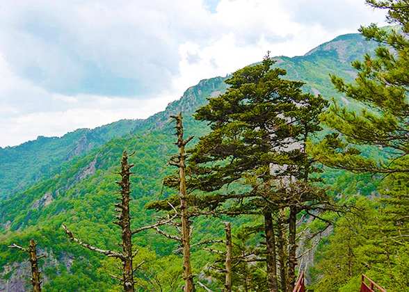 Baiwangshan Forest Park