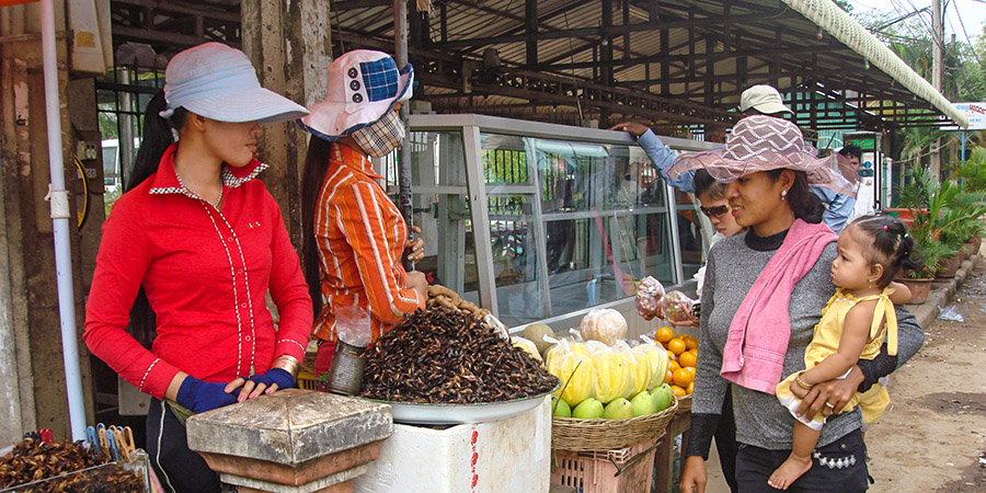 A Cambodia Fruit Stall