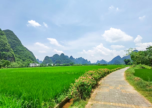 A Country Road along Yulong River