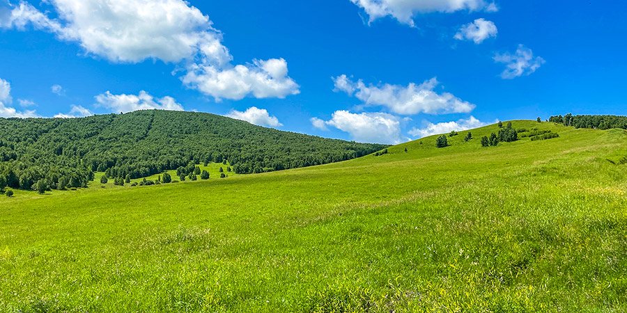 Dangzhou Grassland Beauty Spot