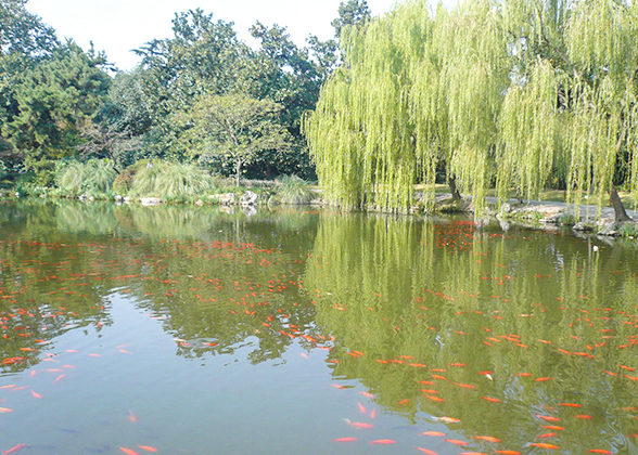 Flower Harbor of West Lake