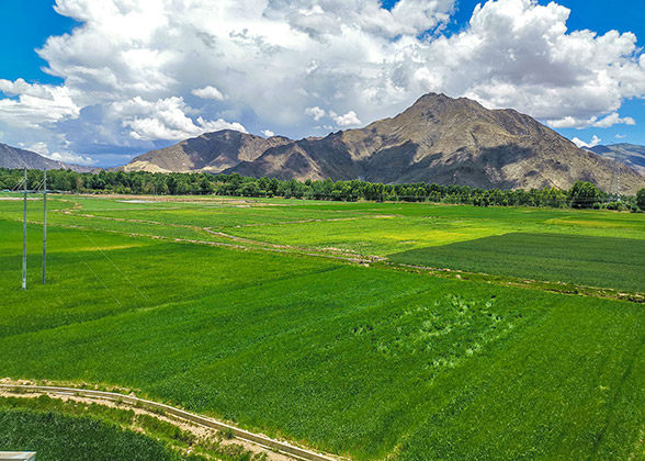 Spacious Ground in Tibet