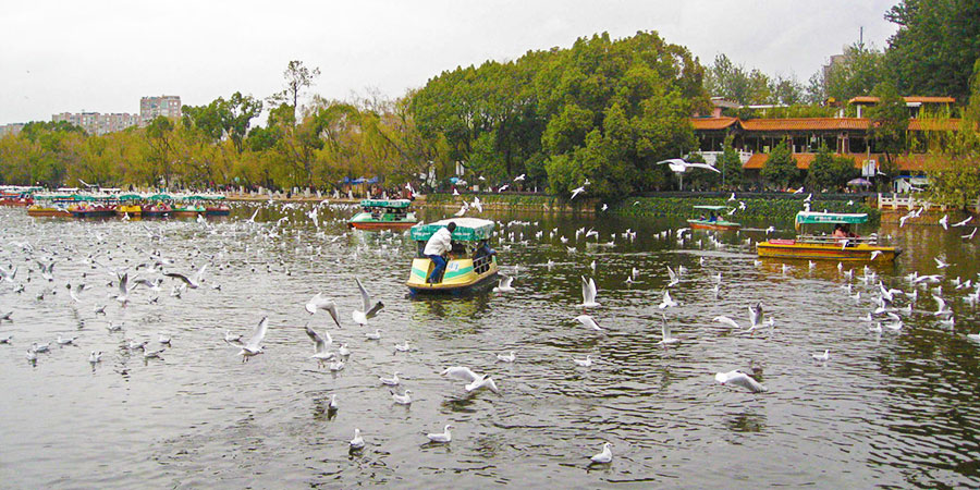 Green Lake Park