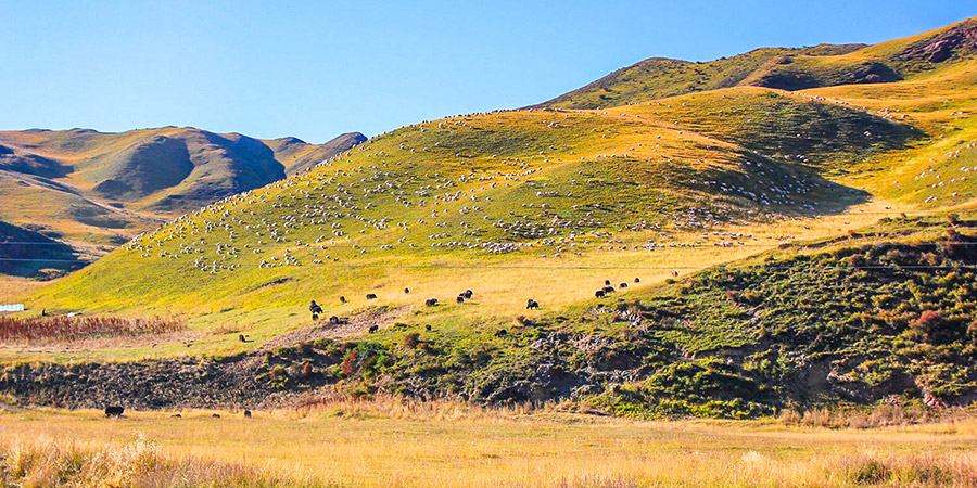 Sangke Grassland