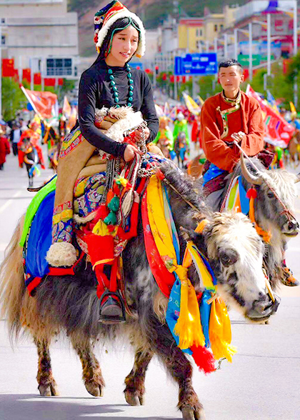 Yak Racing in Ongor Festival