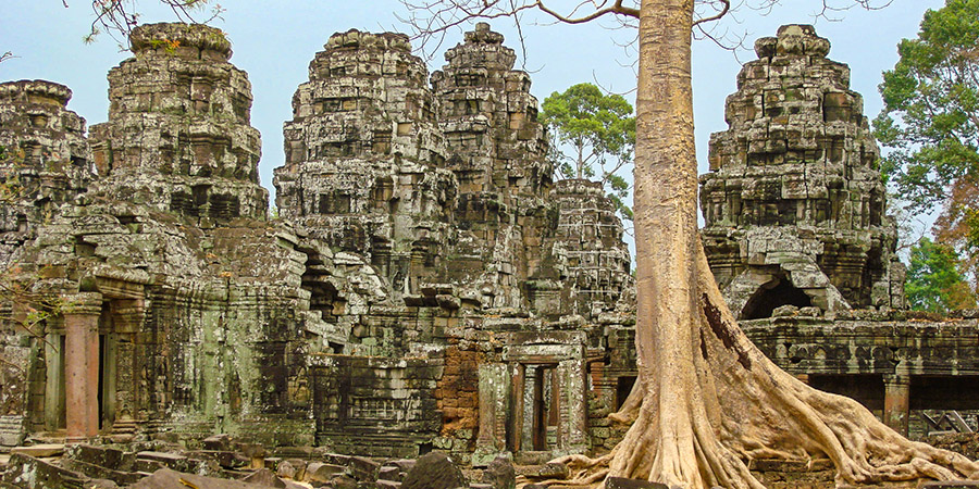 Ta Phrom Temple Tangled by Tree Roots