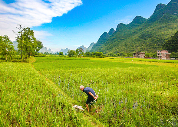 Farmland by Wuzhi Hill