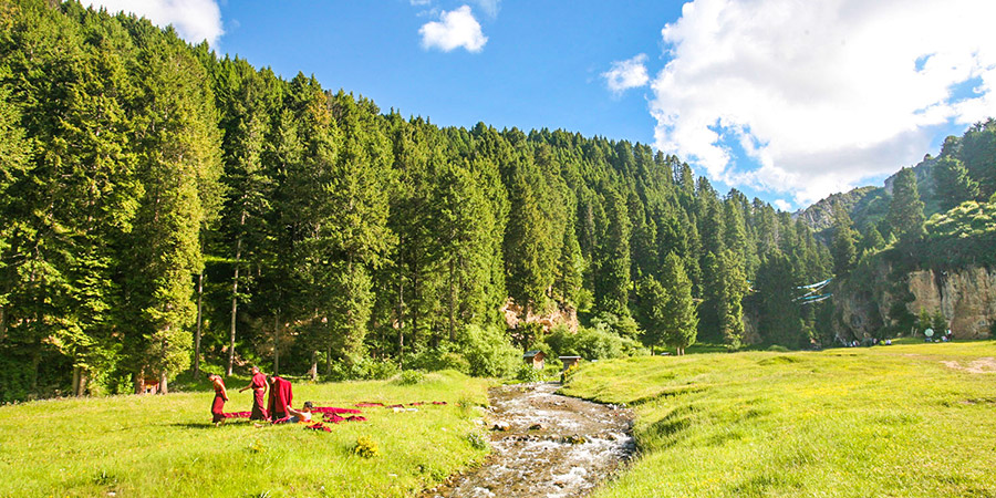 Yaozigou National Forest Park