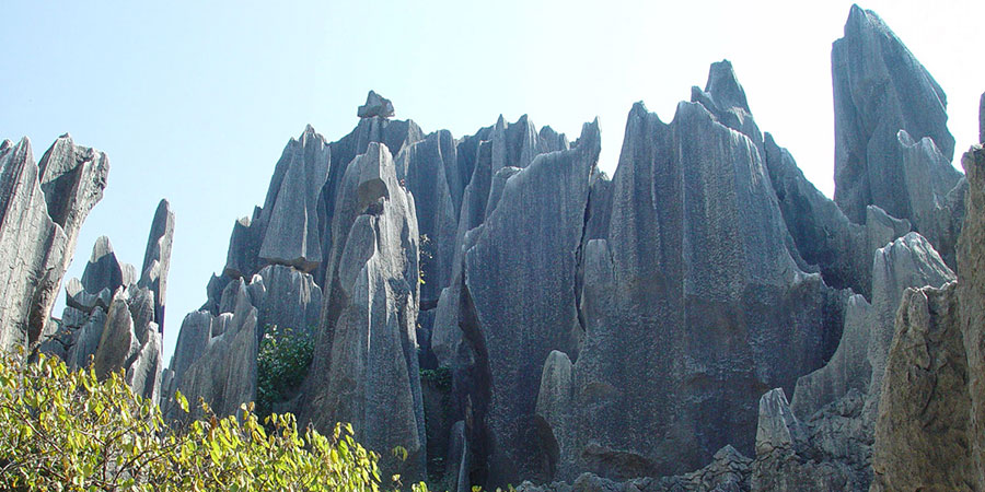 Stone Forest