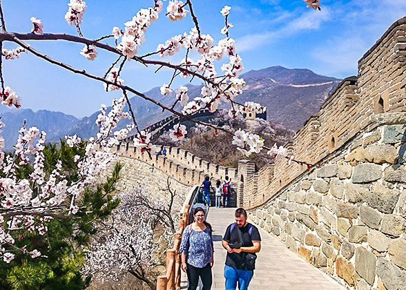 Badaling Great Wall in Spring