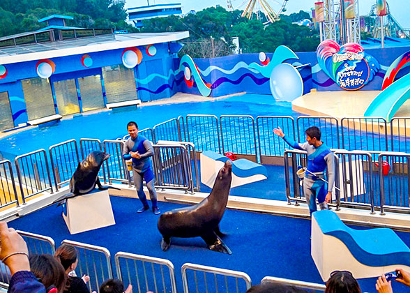 Ocean Park Hong Kong