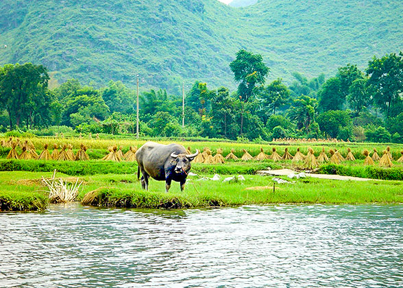 Li River