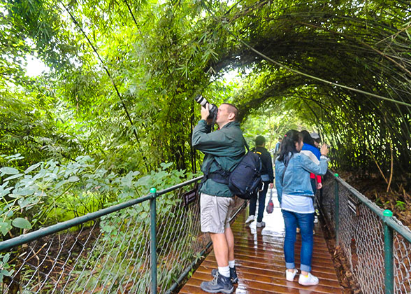 Our Guests Taking Photos of Pandas